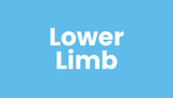 Lower Limb